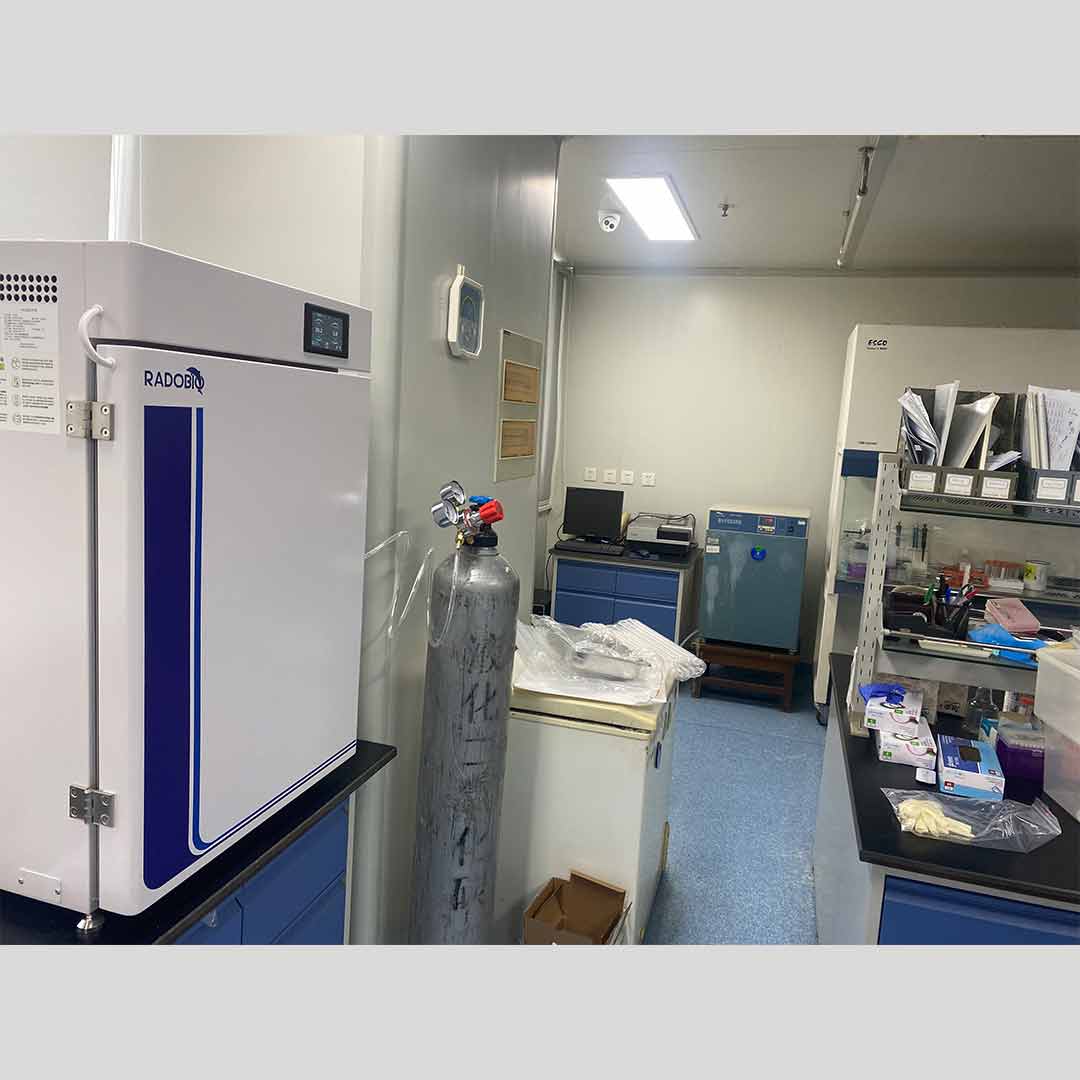 Herocell 180 二氧化碳培养箱 | 中国医学科学院
