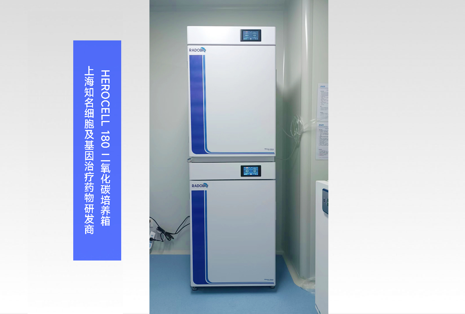 Herocell 180二氧化碳培养箱 | 上海知名细胞及基因治疗药物研发商