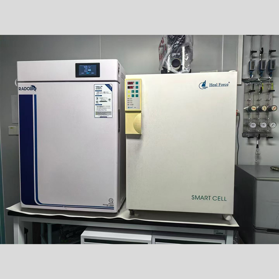 Celstar 185 二氧化碳培养箱 | 武汉大学