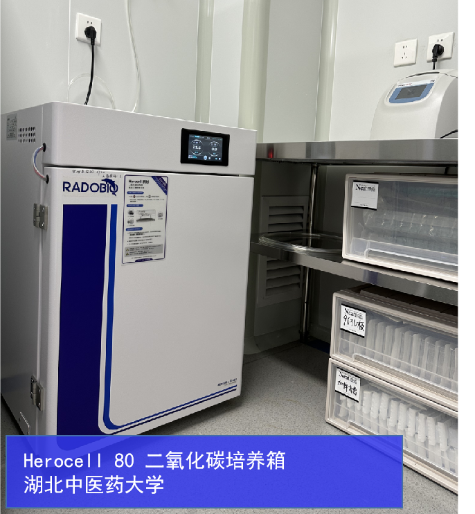 Herocell 80 二氧化碳培养箱 | 湖北中医药大学