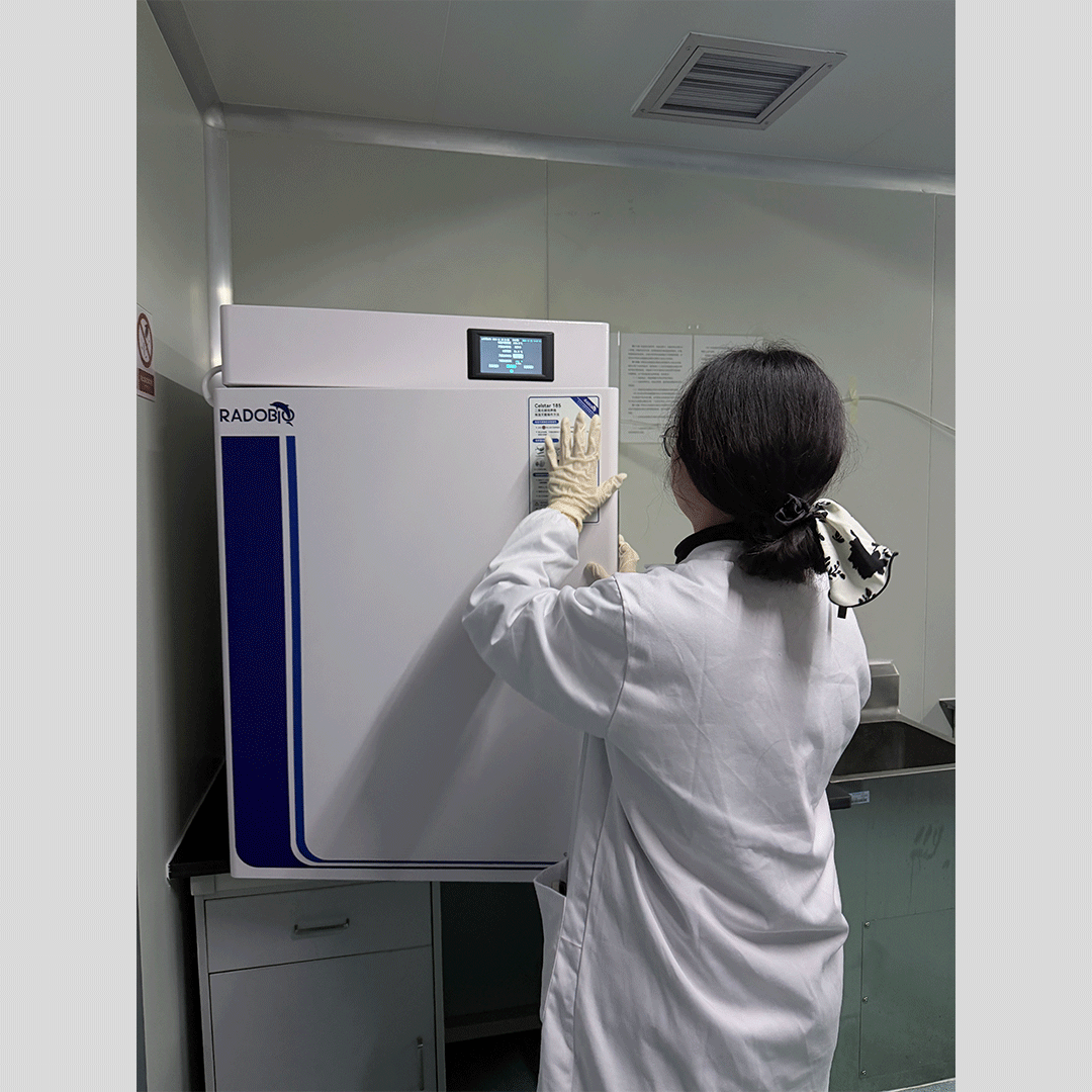 Celstar 185 二氧化碳培养箱 | 华中农业大学生猪健康养殖协同创新中心