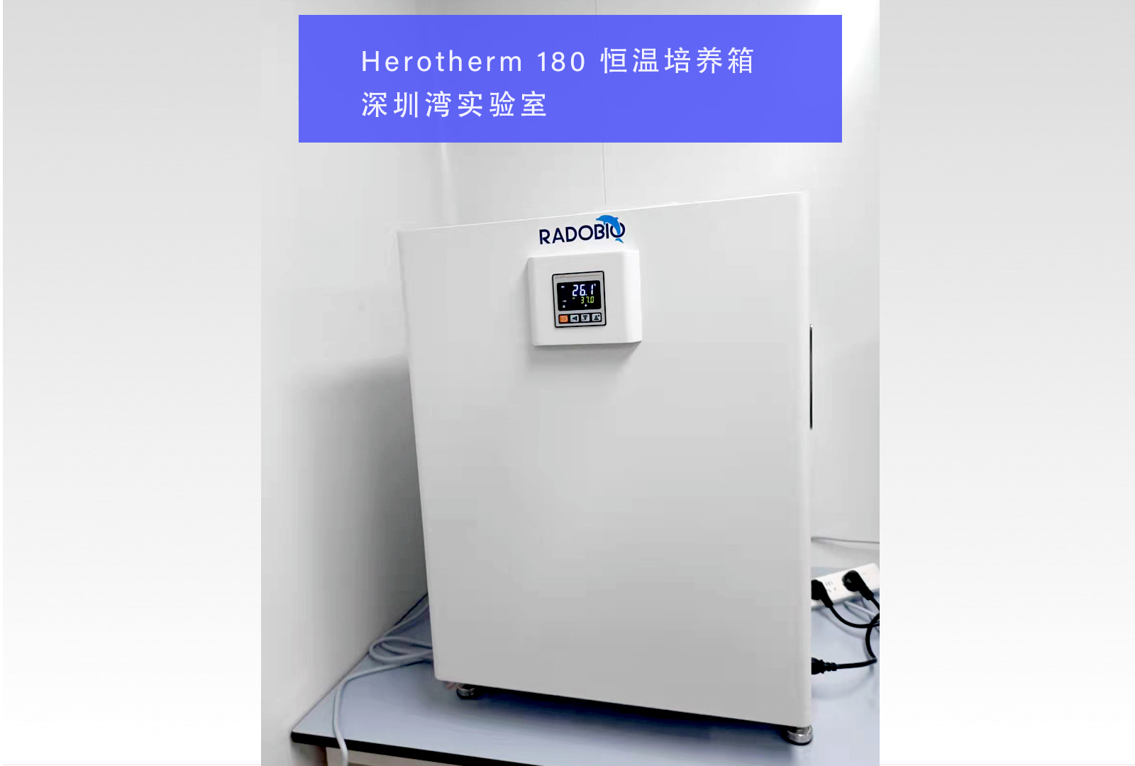 Herotherm 180 恒温培养箱 | 深圳湾实验室