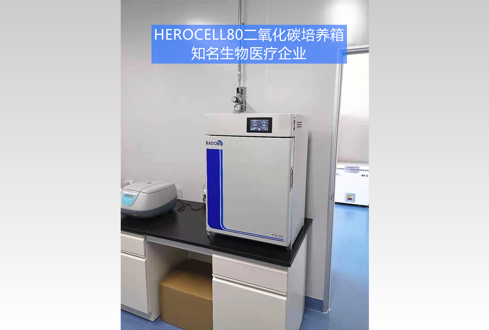 二氧化碳培养箱