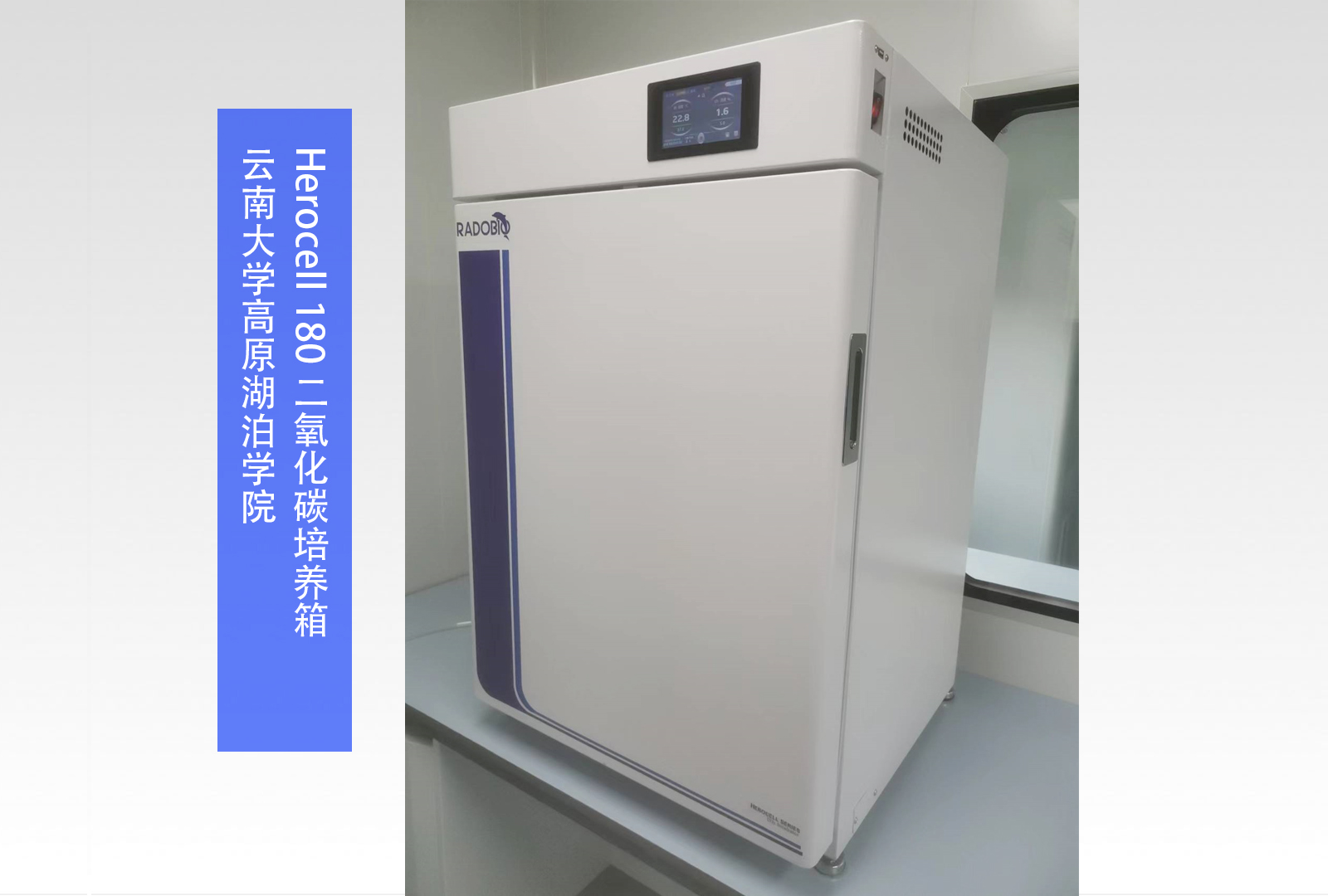  Herocell 180 二氧化碳培养箱 I 云南大学高原湖泊学院