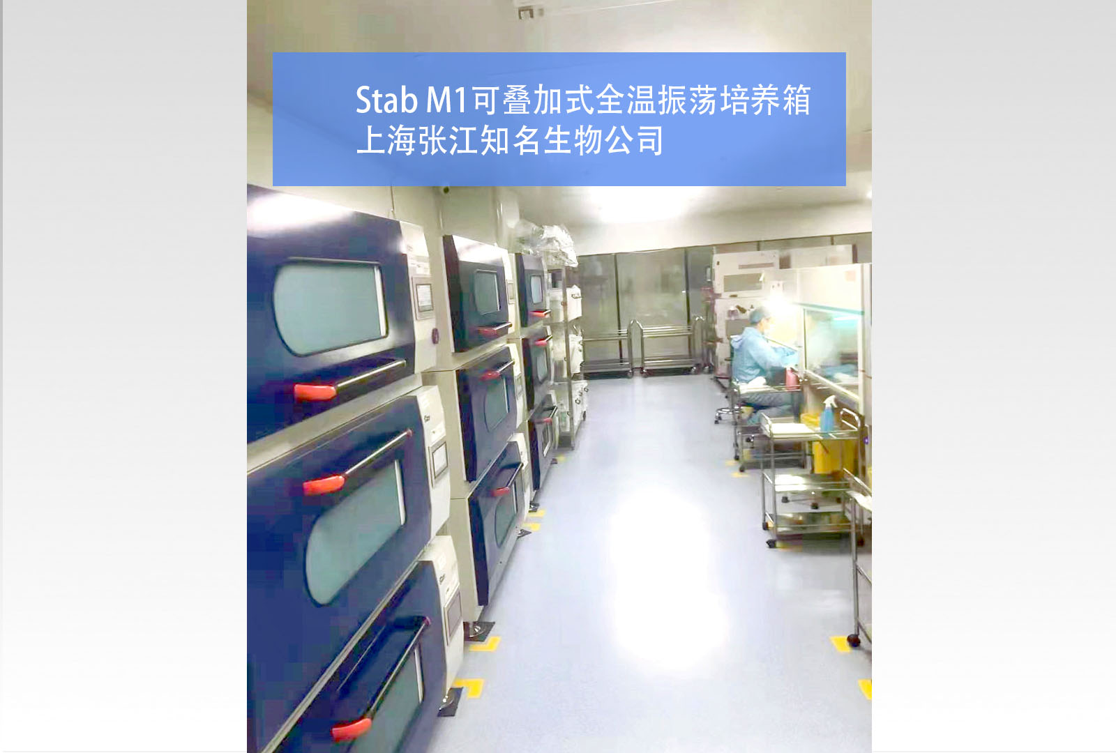 Stab M1微生物振荡培养箱 | 上海张江知名生物公司