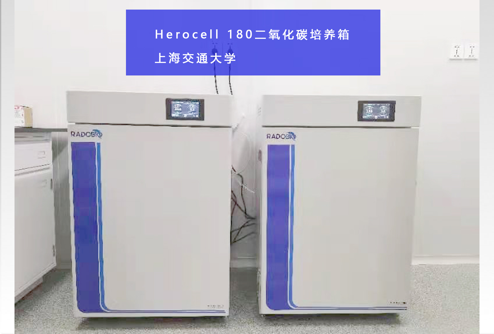 Herocell 180二氧化碳培养箱 | 上海交通大学