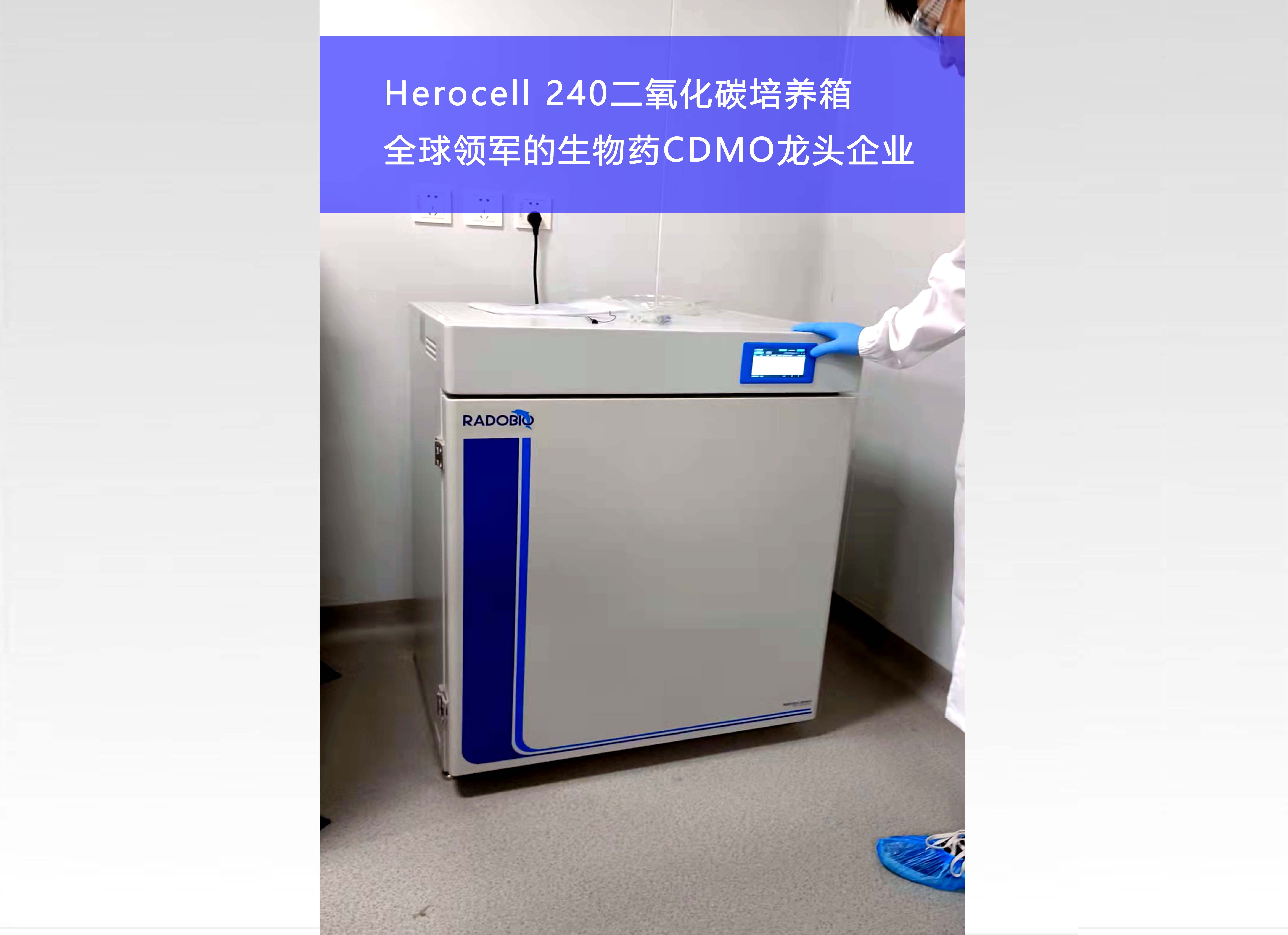Herocell 240二氧化碳培养箱 | 全球领军的生物药CDMO龙头企业