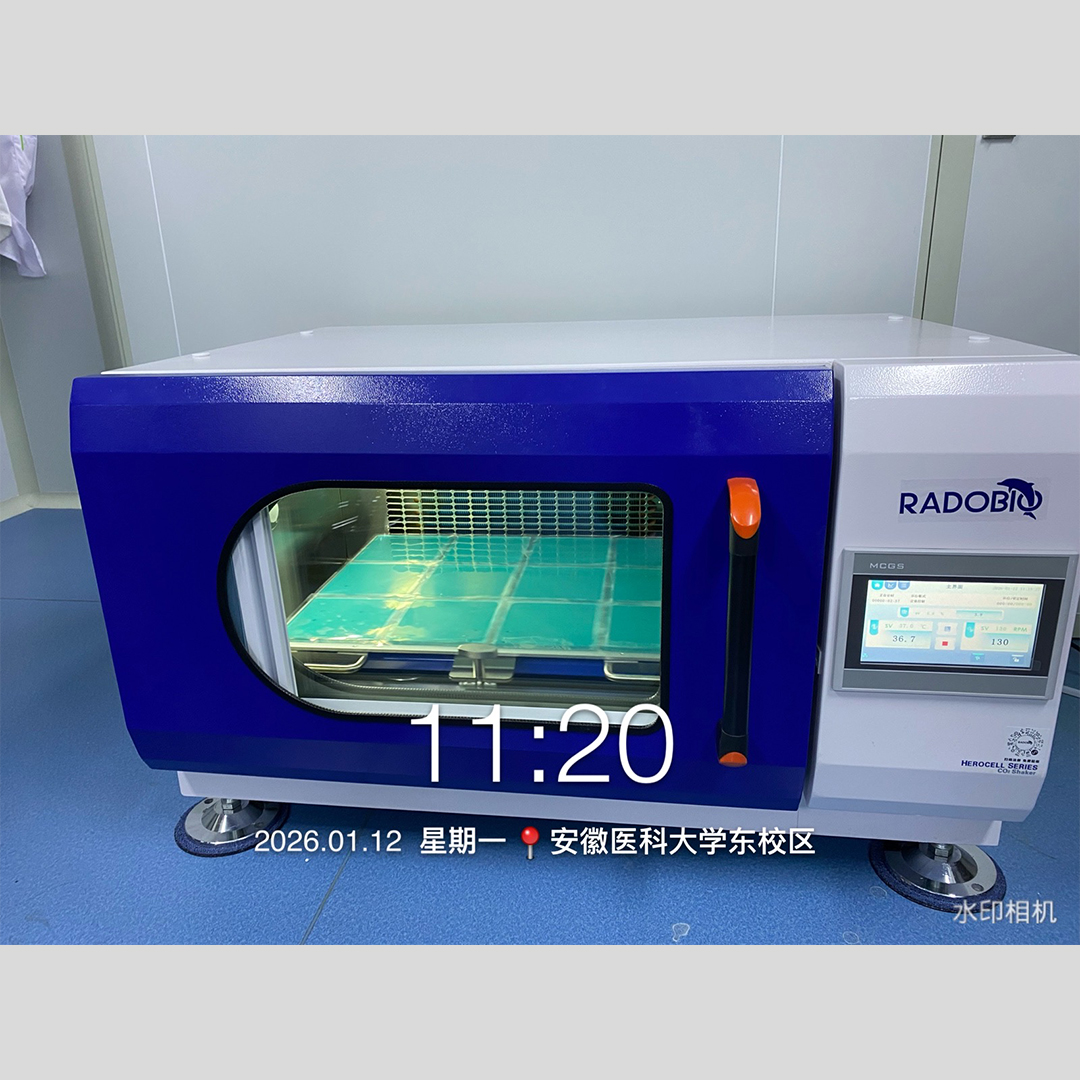 Herocell C1S 二氧化碳振荡培养箱 | 安徽医科大学