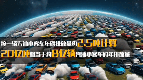 大国院士丨正因为难，所以必须要干——专访中国科学院院士焦念志