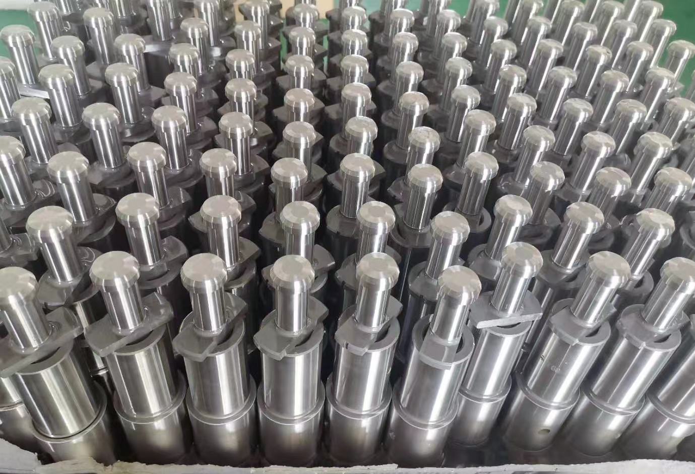 PLUNGER D50.27.104-1(Насосный Элемент)