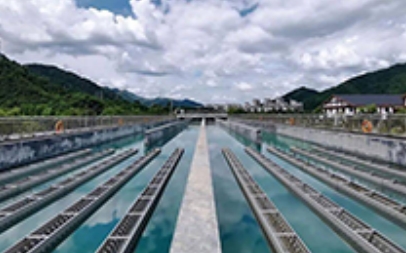 安徽金寨双桃自来水公司水表改造项目