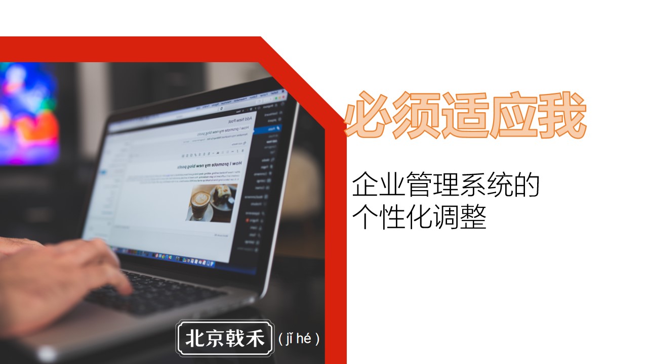 必须适应我-管理系统的个性化改造