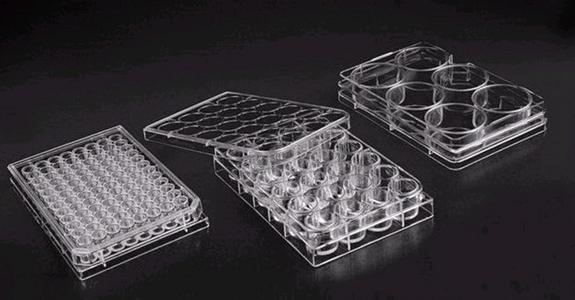 美国康宁培养板