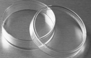 美国康宁培养皿