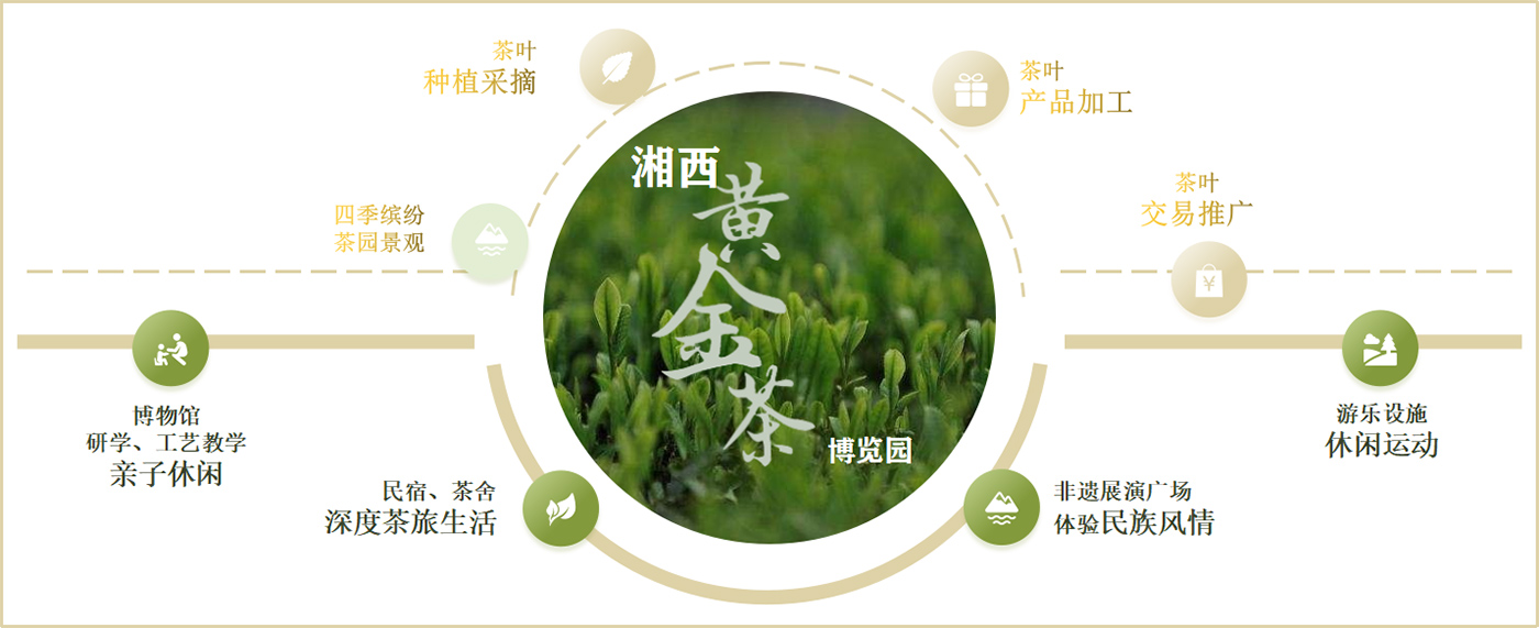 神秘谷茶文化体验