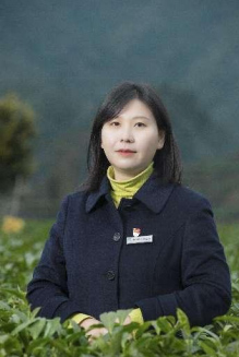 湖南黄金茶生产厂家