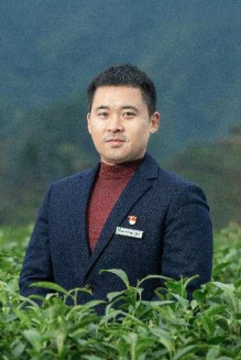 湖南茶叶种植园