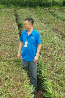 神秘谷茶文化体验