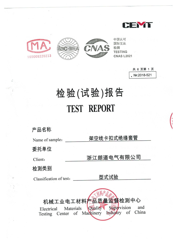 Test report