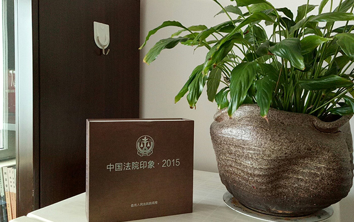 宣传片《中国法院印象2015》