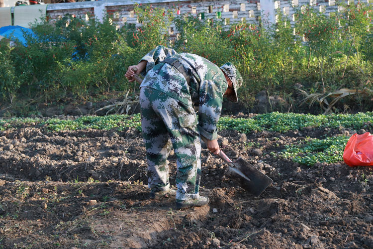 农村生活体验式劳动教育
