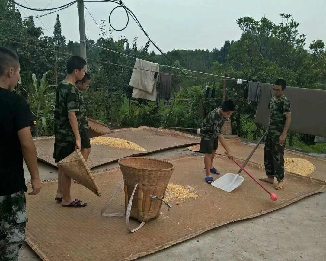 立德素质教育基地农事活动