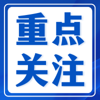 从“技术赋能”到“范式重构” 川渝数字政府实践对信息化咨询的启示
