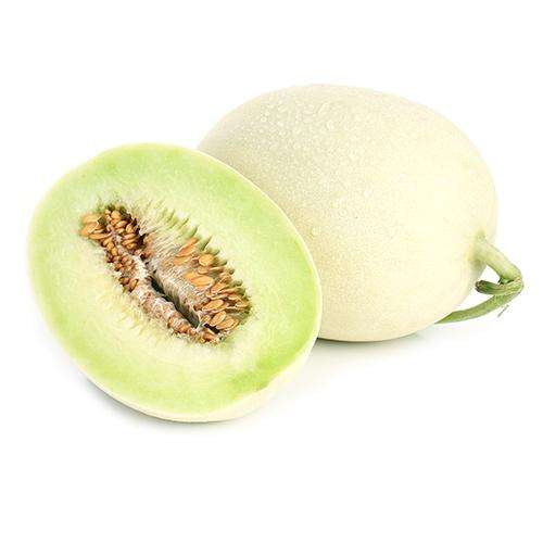 南汇玉菇甜瓜