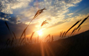 企业宣传片对企业的价值