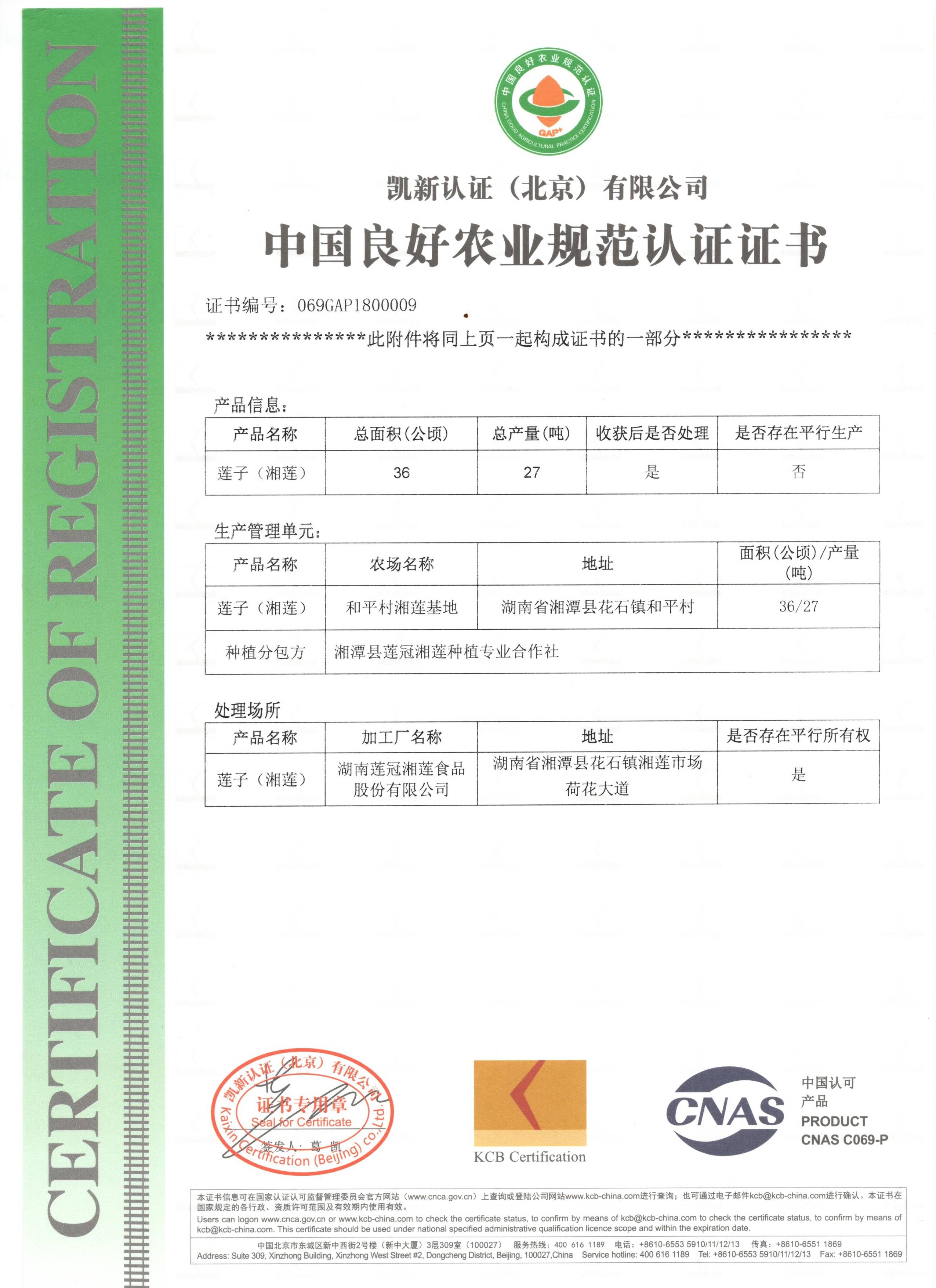 2020gap認(rèn)證書1