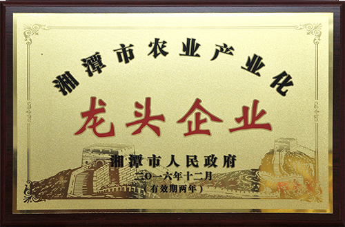 湘潭市龍頭企業(yè)