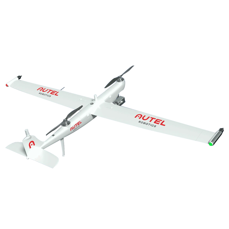 DRAGON FISH 龙鱼