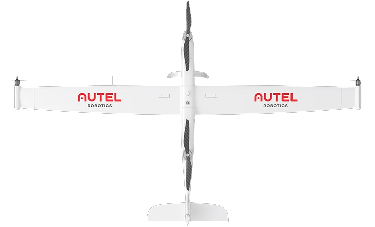 DRAGON FISH 龙鱼