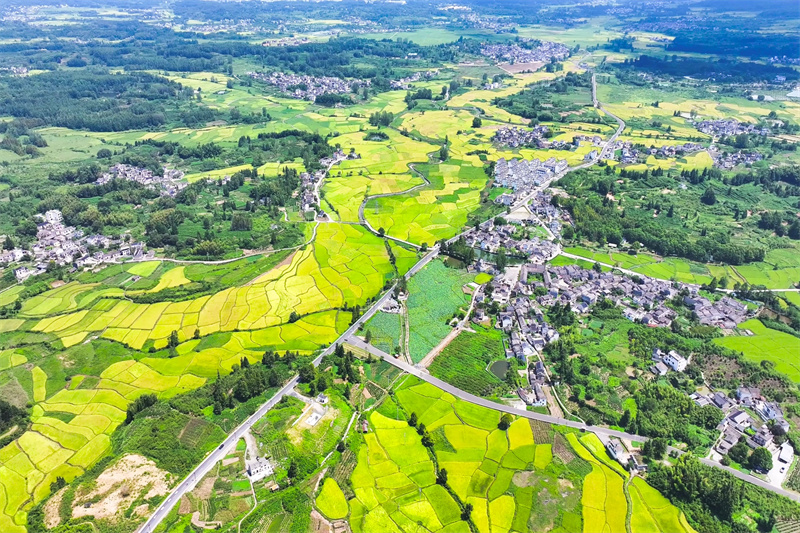 2024年通山县中央投资高标准农田建设项目