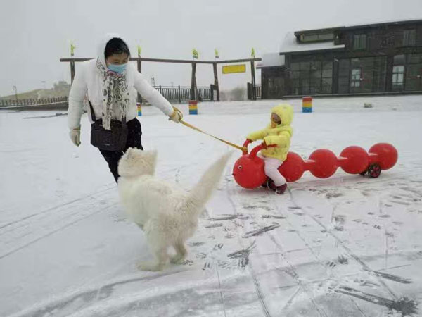 雪地毛毛虫