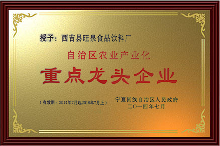 自治区重点龙头企业