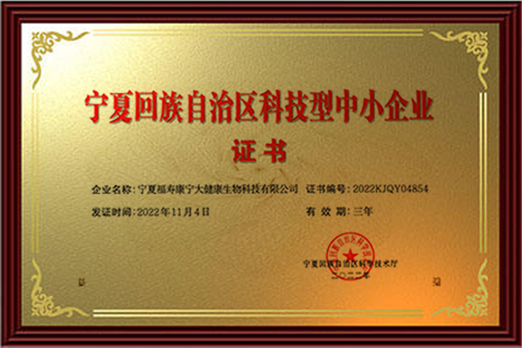 自治区科技型中小企业