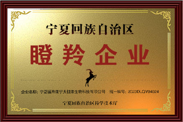 自治区瞪羚企业