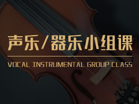 声乐/器乐小组课