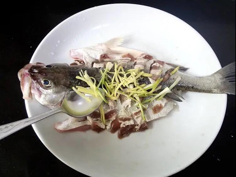 野生海鲈鱼 | 霞浦，这里是名副其实的吃货天堂