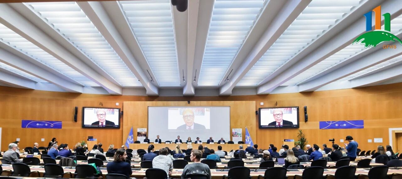 Geneva Declaration Advance Local Innovation and Collaboration for a Resilient and Sustainable Urban Future