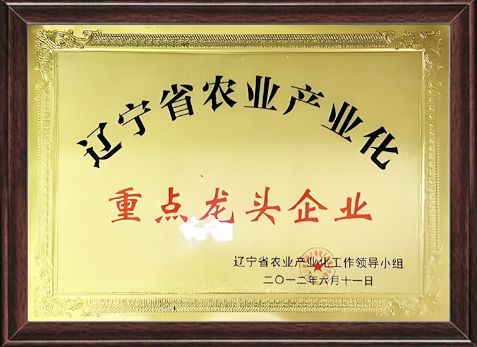 荣誉资质