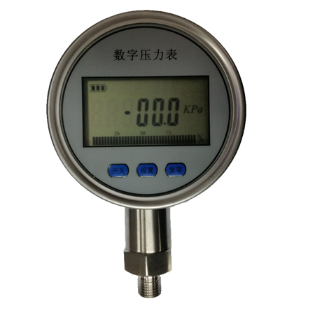 CYF-100数显压力表