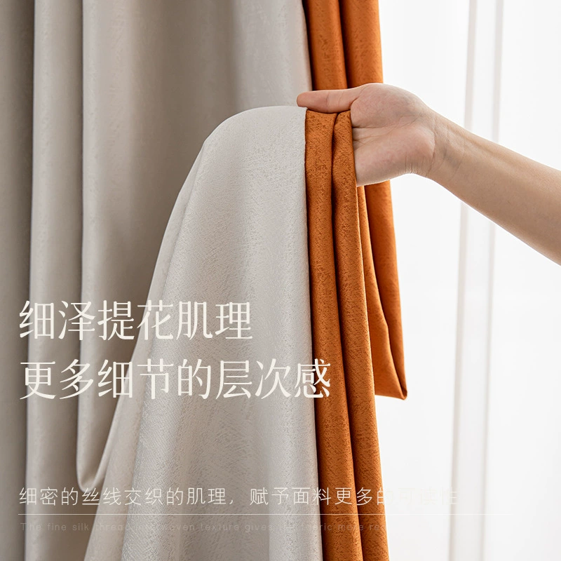 Curtain 013