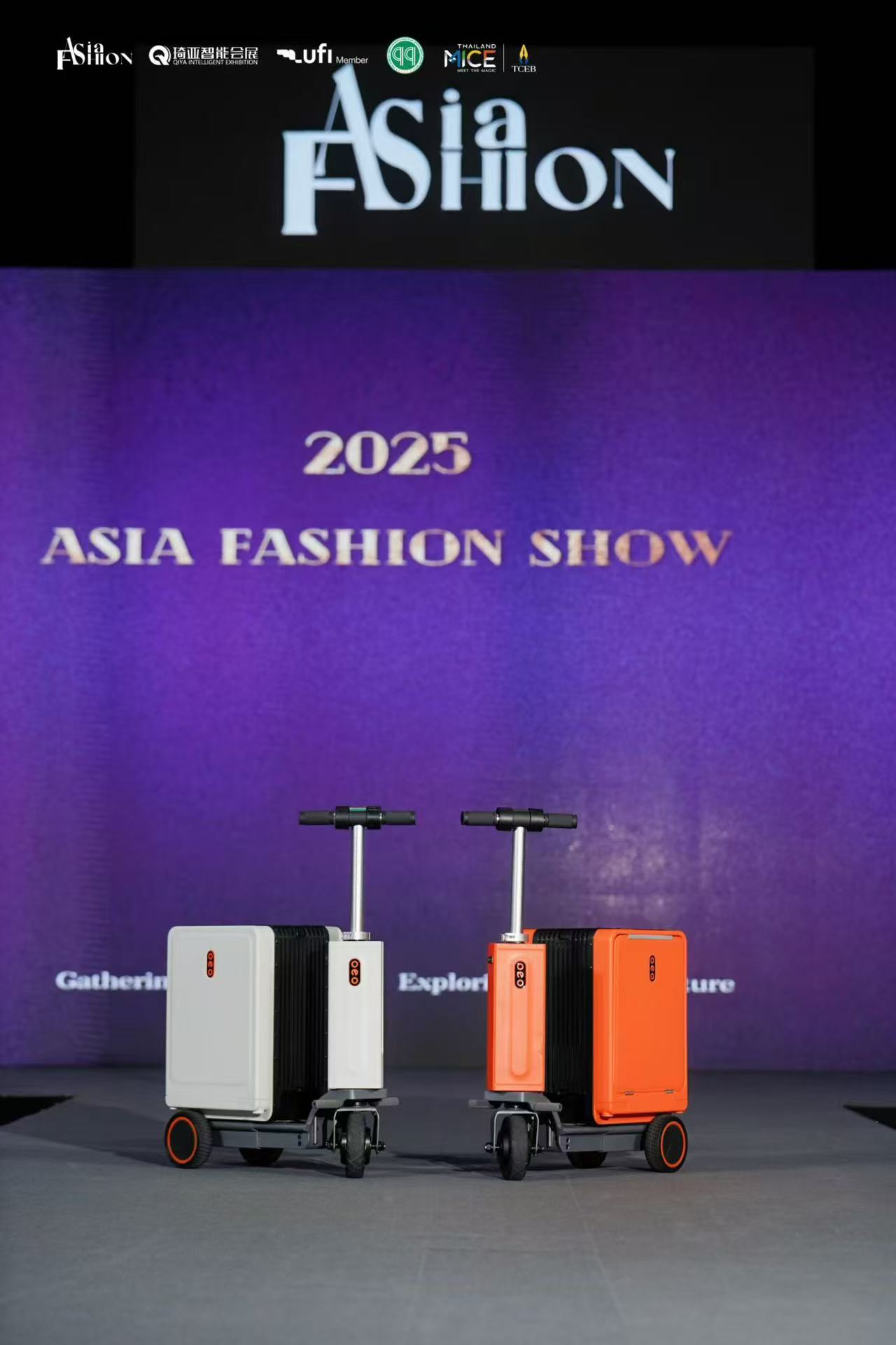 Electromotion Luggage: Redefining Travel Convenience with Innovation and Style