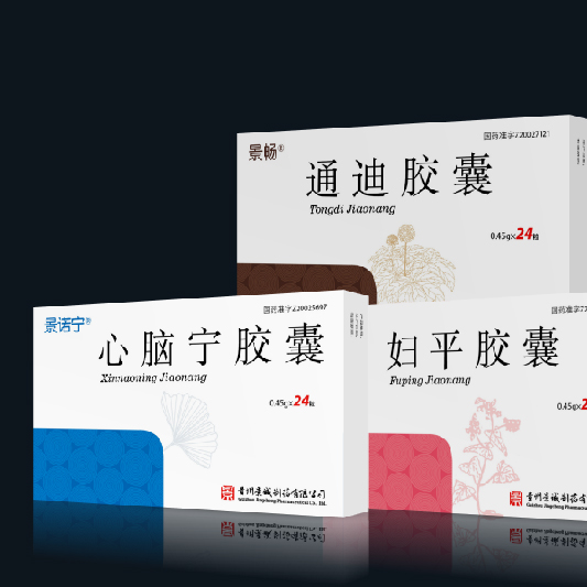 贵州景诚制药系列产品包装设计