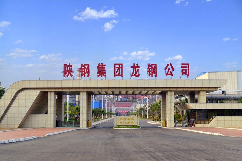 <span>陕西龙门钢铁</span>