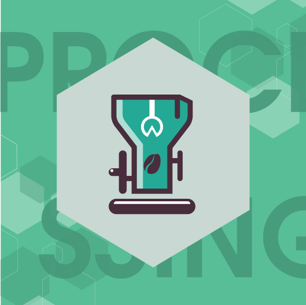 SCI咖啡处理课程