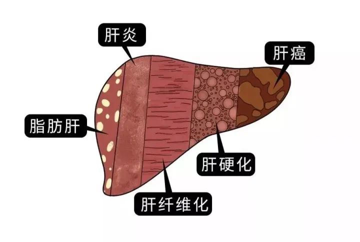 莲花山润生堂