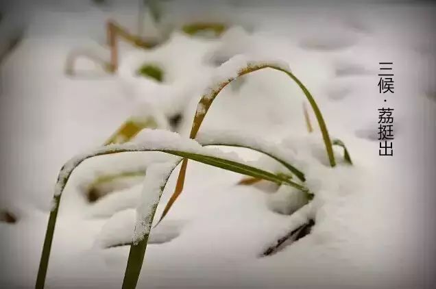 莲花山润生堂